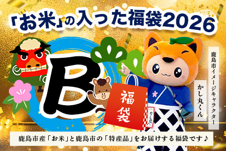 あなたのふるさとKashiMartが贈る「お米」の入った福袋B D-282 新年 年末 お正月 年始 佐賀 鹿島 九州 米 こめ コメ 精米 海苔 みかん レモン