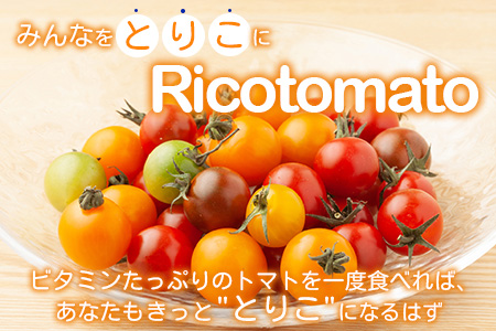 【先行予約】 カラフルミニトマト『Ricotomato』 【1kg×2回定期便】【2026年1月から出荷】 D-92