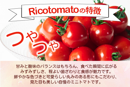 【先行予約】【2026年1月から出荷】 完熟ミニトマト『Ricotomato』 【1kg×2回定期便】 D-93