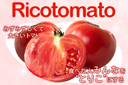 E-107　【先行予約】たにぐちファーム 大玉トマト 【4kg×6回定期便】【2023年12月から出荷】Ricotomato とりこになるトマト