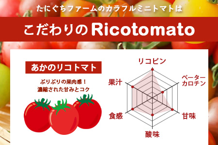【4回定期便】【先行予約】完熟ミニトマト 【少量パック】120gx3p　たにぐちファーム 完熟ミニトマト 360g とりこになるトマト 野菜 とまと トマト リコピン 佐賀産 佐賀県 鹿島市　E-160 完熟ミニトマト 【4回定期便】
