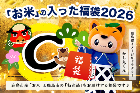 あなたのふるさとKashiMartが贈る「お米」の入った福袋C E-178 新年 年末 お正月 年始 佐賀 鹿島 九州 米 こめ コメ 精米 海苔 みかん レモン
