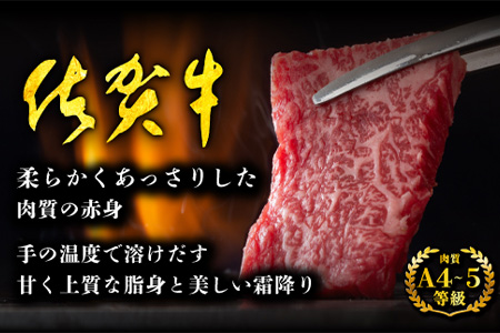 予約受付【1月発送】E-29 佐賀牛 ロース焼肉用500ｇ