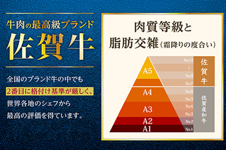 予約受付【1月発送】E-30 佐賀牛 ローススライス（しゃぶしゃぶ・すきやき用）500ｇ