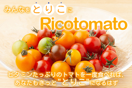 【先行予約】 カラフルミニトマト『Ricotomato』 【1kg×3回定期便】 【2026年1月から出荷】 E-58