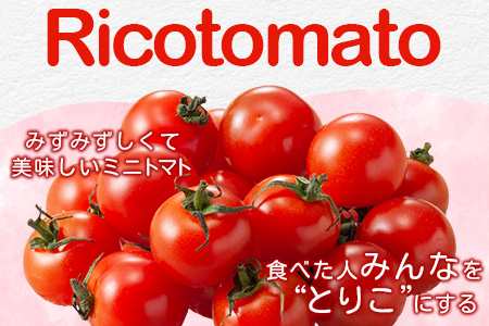 【先行予約】【2026年1月から出荷】 完熟ミニトマト『Ricotomato』 【1kg×4回定期便】F-32