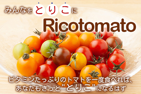 【先行予約】 カラフルミニトマト『Ricotomato』 【1kg×5回定期便】【2024年12月から出荷】 G-24