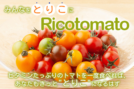 【先行予約】 カラフルミニトマト 『Ricotomato』 【1kg×7回定期便】 【2023年12月から出荷】 I-18
