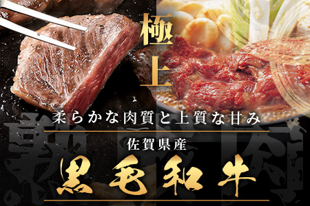 L-19  【熟成肉『堪能』コース】佐賀県産黒毛和牛 ロースステーキ＆すきやき肉