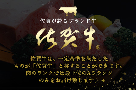 佐賀牛A5ランク サーロインステーキブロック肉3kg V-52