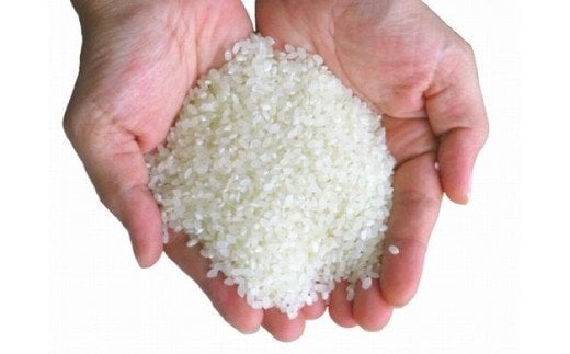 A-132 【生産者直送】佐賀県鹿島市産 さがびより　白米３ｋｇ