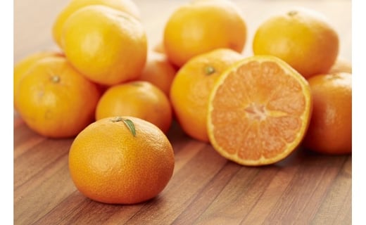 B-279佐賀県鹿島産『温州みかん』小玉 約１１ｋｇ