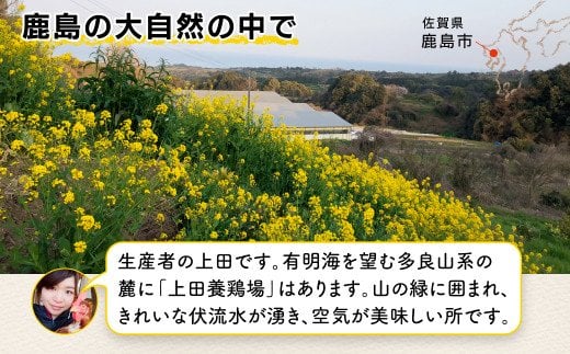 B-390 佐賀県鹿島産 平飼い卵「うみとやまとこっこ」上田養鶏場 たまご40個 40個