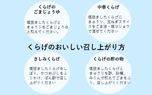 B-433【有明海産】希少！新物！生クラゲ2.5ｋｇ（ビゼンクラゲ）