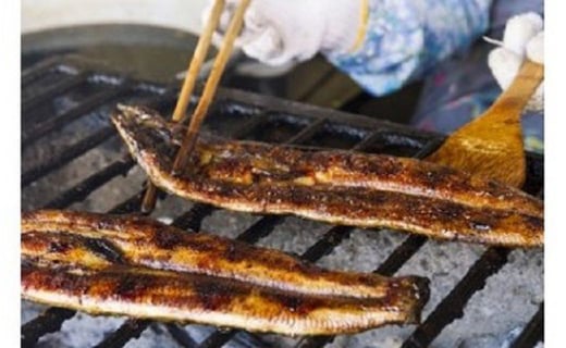 うなぎ蒲焼１尾とムツゴロウ蒲焼５尾入り　C-8