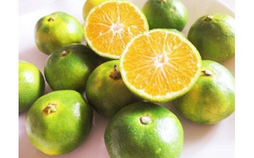 D-104 【先行予約】 平倉果樹園みかん食べ比べコース（毎月1回約5.5kg×2ヶ月お届け） ふるさと納税 みかん 定期 ミカン フルーツ 果物 くだもの 極早生 ゆら 早生 根域制限栽培 蜜柑 送料無料【11月～12月まで毎月下旬頃お届け予定】