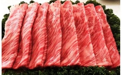 D-19 佐賀産和牛　肩ローススライス600ｇ