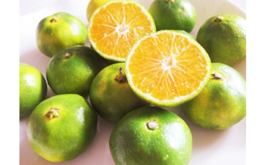 E-70  【先行予約】 平倉果樹園みかん食べ比べコース（毎月1回約5.5kg×３ヶ月お届け） ふるさと納税 みかん 定期 ミカン フルーツ 果物 くだもの 極早生 ゆら 早生 根域制限栽培 蜜柑 送料無料【10月～12月まで毎月下旬頃お届け予定】