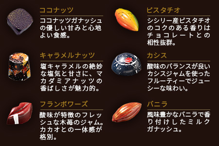 【匠の技】菓子工房 ひのでや てづくり ショコラ 10個 詰め合わせセット【シェフのこだわりと技術が詰まったチョコレート】 B-561　【バレンタイン・ホワイトデー対応可】