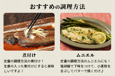 【下処理済で簡単調理】有明海産 シタビラメ約150g×4尾【合計約600g】煮つけ・唐揚げにおススメ【脂ののって美味しい】鮮度抜群 B-568