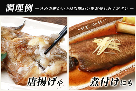 冷凍芝エビ（真エビ）2kg（500g×4パック）＆有明海産 シタビラメ約150g×4尾【有明海の恵】簡単調理 セット