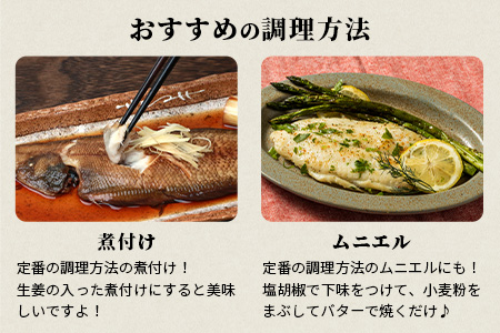 【下処理済で簡単調理】有明海産 シタビラメ約150g×2尾【合計約300g】煮つけ・唐揚げにおススメ【脂ののって美味しい】鮮度抜群 A-154