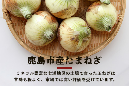 【先行予約】鹿島市産　玉ねぎ　10kg（MLサイズ）農家直送　５月以降発送予定　B-736
