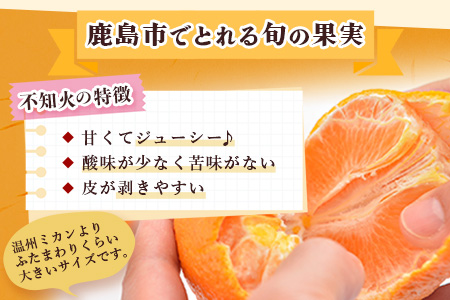 【先行予約】不知火（ギフト箱入り）３kg　B-741