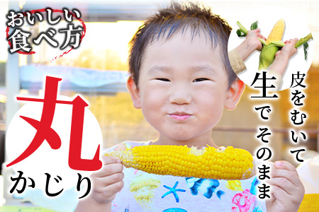 B-124 驚く甘さ！フルーツコーン　約４ｋｇ