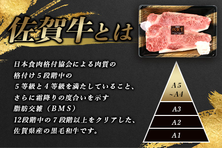 予約受付【1月発送】D-179 佐賀牛サーロインステーキ 2枚(合計420g)【黒毛和牛】  肉 牛肉 A4等級以上 佐賀牛