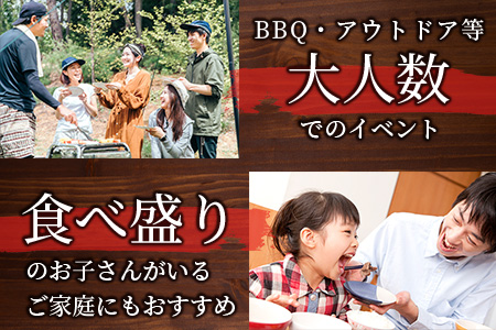 牛サーロインステーキ(牛脂注入)100g×5枚×2袋【合計1kg】柔らかさとジューシーな味わいが自慢のお肉 B-615
