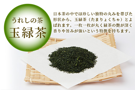 【ギフトにおすすめ】 佐賀県産 上煎茶 うれしの茶 100g×3本【合計300g】美味しいお茶を贈り物に B-666
