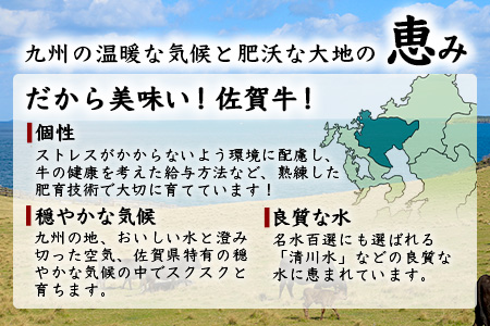 【定期便6回】佐賀牛 食べ比べ 定期便 モモスライス 肩ローススライス しゃぶしゃぶ すき焼き サーロインステーキ ローストビーフ サイコロステーキ 焼肉 L-41