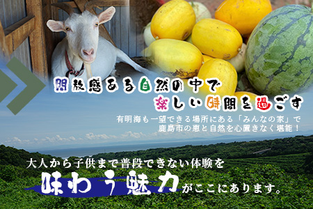【自然豊かで見晴らし最高！！】農業体験と宿泊プラン（１名様分）　佐賀県鹿島市　民宿　みんなの家