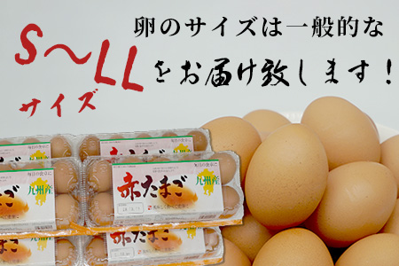 【鹿島市産のたまご】肥前のおいしい赤たまご　６０個（５５個＋破損補償５個入り）　B-711