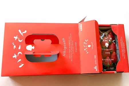 【先行予約】いちご 新ブランド 【いちごさん】 キューブ 240ｇ×2パック 《2025年1月上旬～3月発送》A-135