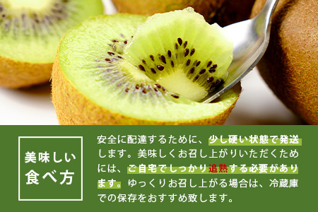 【数量限定300セット】佐賀県産 キウイフルーツ (ヘイワード) 3.6kg キウイ フルーツ 国産 B-520