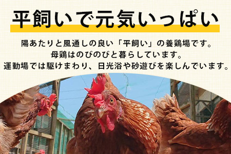 【定期便 3回】平飼い卵「うみとやまとこっこ」上田養鶏場 たまご40個 × 3ヶ月【合計120個】佐賀県鹿島産 卵 タマゴ E-128 40個 × 3ヶ月【合計120個】