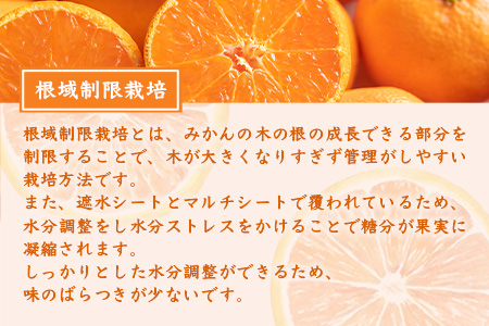【１２月～１月上旬お届け】鹿島みかん 根域制限栽培一口みかん 約５.５ｋｇ A-178