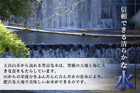 E-99 佐賀県産 厳選さがびより（無洗米）白米 ３０kg