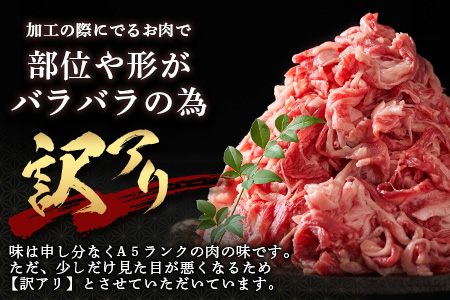 【訳アリ】佐賀牛　もも切り落とし　総重量2,000g  H-30