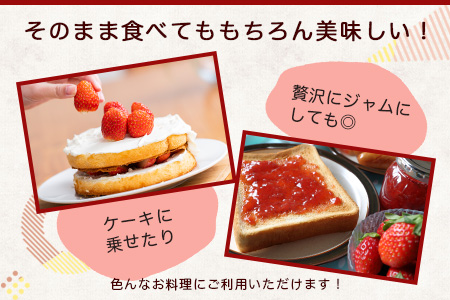 【予約受付】佐賀県産いちご 「いちごさん」 約240ｇ×4パック B-465