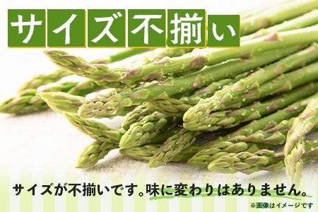 新鮮朝獲れ！！鹿島市産 アスパラガス 合計500g 【美味しい野菜で彩を】アスパラ 野菜 やさい 九州 国産 佐賀　6601611 B-854
