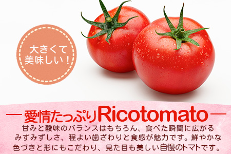 【先行予約】 たにぐちファーム 大玉トマト 4kg 【2024年2月～6月出荷】 Ricotomato とりこになるトマト Ａ-159
