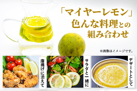 【訳あり】【先行予約】【産地直送】【農家直送】佐賀県鹿島市産 マイヤーレモン 5kg サイズ混合 酸味 美味しい お酒 生絞り 料理 お菓子 家庭用 【９月～2月頃まで配送】 A-191