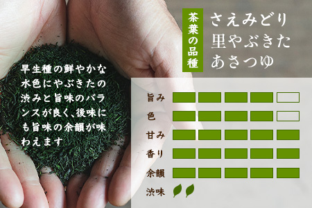 うれしの茶 特上煎茶「金」 90g × 1本（リーフ）A-199 茶葉 煎茶 緑茶 日本茶 佐賀