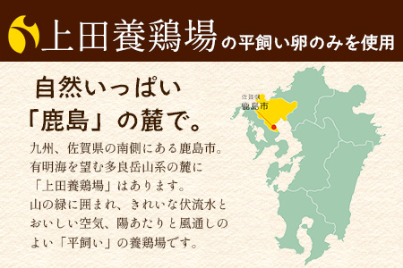 ＼濃厚卵のマヨネーズ／瓶詰め マヨネーズ 2本セット | 上田養鶏場のこっこの陽なたマヨ 170g | マヨネーズ マヨ 調味料 たまご 平飼い お料理 安心 安全 玉子 サラダ ディップ ポテトサラダ ドレッシング 送料無料　A-204