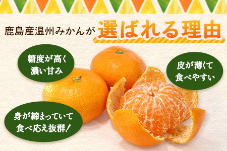 温州みかん 小玉(SS,3S)5kg　A-205