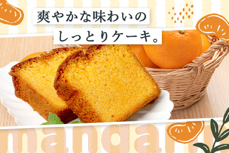 SAGAみかん、っ娘。ケーキ 2箱（合計8個入り）A-219