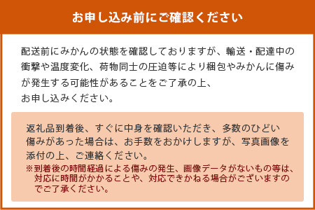 【先行予約】（2026年11月上旬～発送）”わーがと”鹿島産がばい訳アリみかん 約6kg【サイズ別】【期日指定不可】国産 佐賀県産 ミカン 蜜柑 果物 フルーツ AA-39